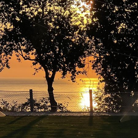 Villa Relais Il Giardino Fra Gli Ulivi Torino di Sangro Exterior foto
